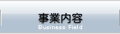 Ɠe@Business Field