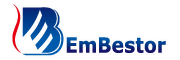 EmBestor Technology Inc.